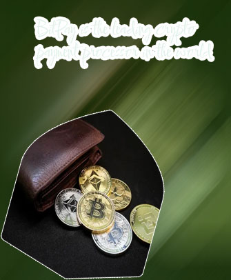 Biggest crypto wallets