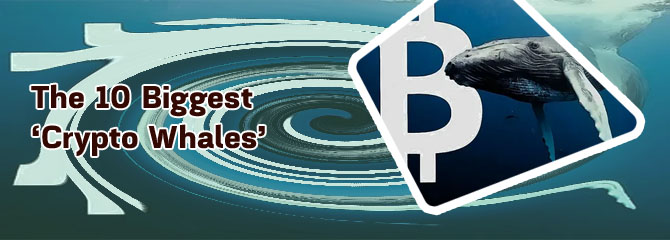 Bitcoin whales list