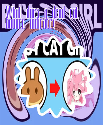 Cat girl crypto price